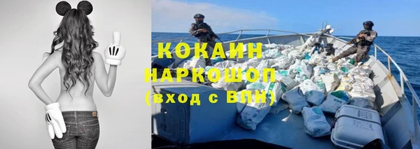 мяу мяу мука Куйбышев