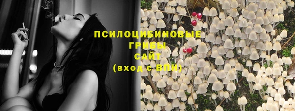 хмурый Кукмор