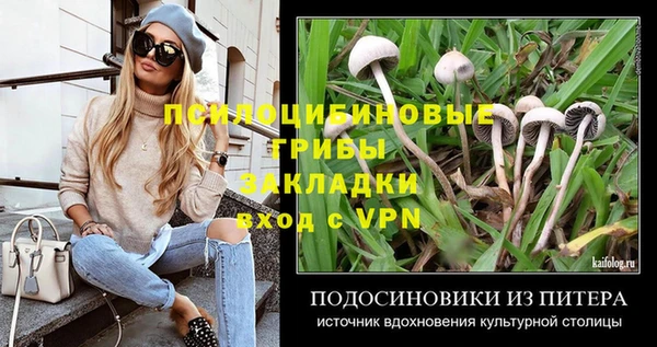 трава Кулебаки