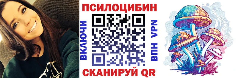 Купить где  Светогорск  Псилоцибиновые грибы мицелий 